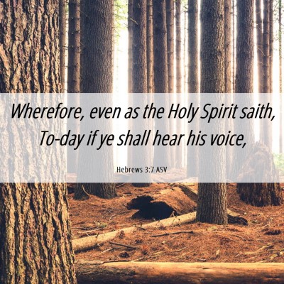 Picture 06 - Hebrews 3:7 ASV - Wherefore, even as the Holy Spirit saith, To-day - Bible Verse Picture