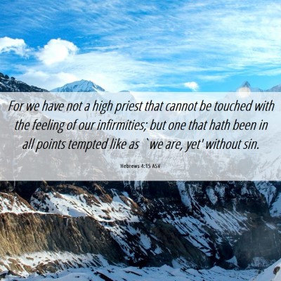 Picture 06 - Hebrews 4:15 ASV - For we have not a high priest that cannot be - Bible Verse Picture
