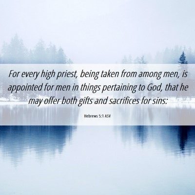 Picture 06 - Hebrews 5:1 ASV - For every high priest, being taken from among - Bible Verse Picture