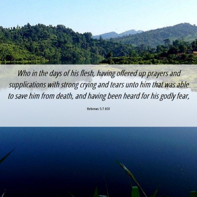 Picture 06 - Hebrews 5:7 ASV - Who in the days of his flesh, having offered up - Bible Verse Picture