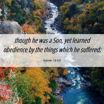Picture 06 - Hebrews 5:8 ASV - though he was a Son, yet learned obedience by the - Bible Verse Picture