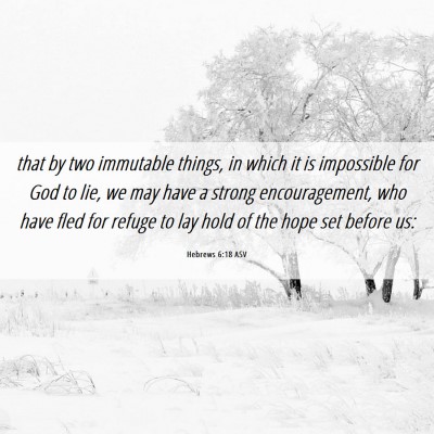 Picture 06 - Hebrews 6:18 ASV - that by two immutable things, in which it is - Bible Verse Picture