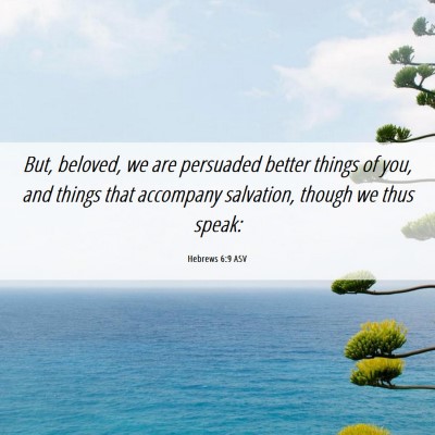 Picture 06 - Hebrews 6:9 ASV - But, beloved, we are persuaded better things of - Bible Verse Picture
