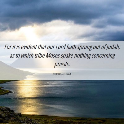 Picture 06 - Hebrews 7:14 ASV - For it is evident that our Lord hath sprung out - Bible Verse Picture