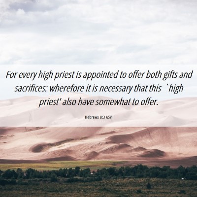 Picture 06 - Hebrews 8:3 ASV - For every high priest is appointed to offer both - Bible Verse Picture