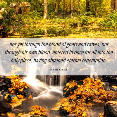 Picture 06 - Hebrews 9:12 ASV - nor yet through the blood of goats and calves, - Bible Verse Picture