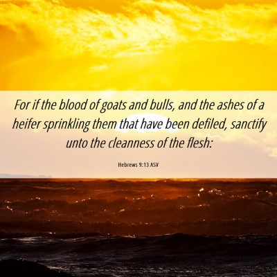 Picture 06 - Hebrews 9:13 ASV - For if the blood of goats and bulls, and the - Bible Verse Picture