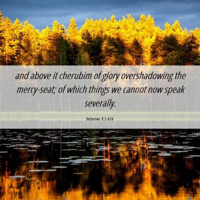 Picture 06 - Hebrews 9:5 ASV - and above it cherubim of glory overshadowing the - Bible Verse Picture