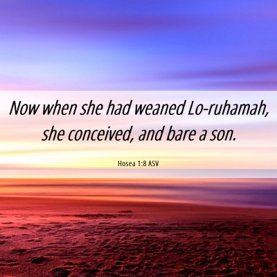 Picture 06 - Hosea 1:8 ASV - Now when she had weaned Lo-ruhamah, she - Bible Verse Picture