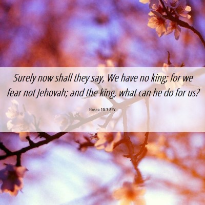 Picture 06 - Hosea 10:3 ASV - Surely now shall they say, We have no king; for - Bible Verse Picture