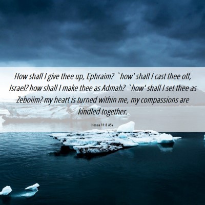 Picture 06 - Hosea 11:8 ASV - How shall I give thee up, Ephraim? `how' shall I - Bible Verse Picture