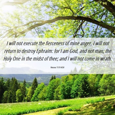 Picture 06 - Hosea 11:9 ASV - I will not execute the fierceness of mine anger, - Bible Verse Picture
