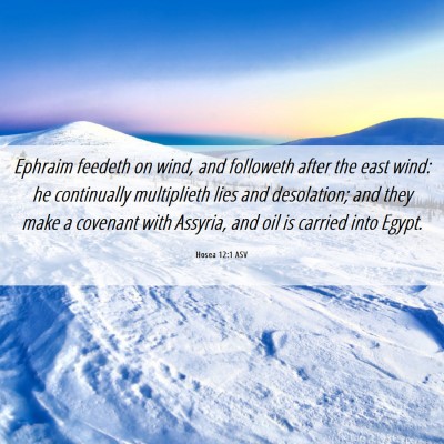 Picture 06 - Hosea 12:1 ASV - Ephraim feedeth on wind, and followeth after the - Bible Verse Picture