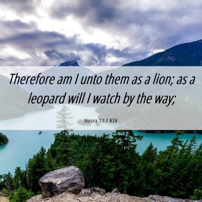 Picture 06 - Hosea 13:7 ASV - Therefore am I unto them as a lion; as a leopard - Bible Verse Picture