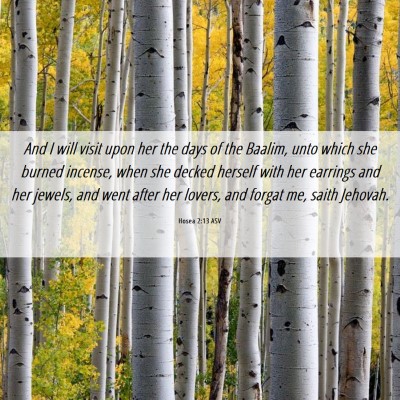 Picture 06 - Hosea 2:13 ASV - And I will visit upon her the days of the Baalim, - Bible Verse Picture