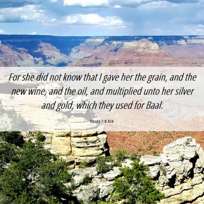 Picture 06 - Hosea 2:8 ASV - For she did not know that I gave her the grain, - Bible Verse Picture