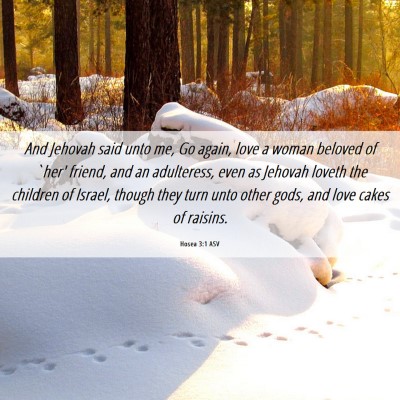 Picture 06 - Hosea 3:1 ASV - And Jehovah said unto me, Go again, love a woman - Bible Verse Picture