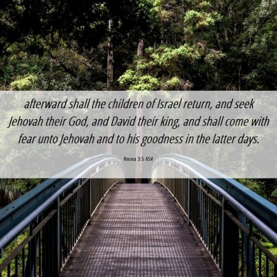 Picture 06 - Hosea 3:5 ASV - afterward shall the children of Israel return, - Bible Verse Picture