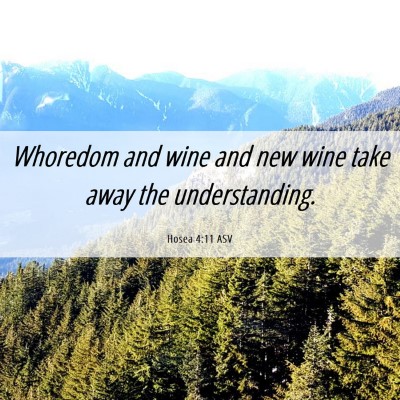Picture 06 - Hosea 4:11 ASV - Whoredom and wine and new wine take away the - Bible Verse Picture