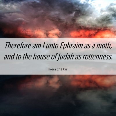 Picture 06 - Hosea 5:12 ASV - Therefore am I unto Ephraim as a moth, and to the - Bible Verse Picture