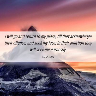 Picture 06 - Hosea 5:15 ASV - I will go and return to my place, till they - Bible Verse Picture