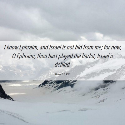 Picture 06 - Hosea 5:3 ASV - I know Ephraim, and Israel is not hid from me; - Bible Verse Picture