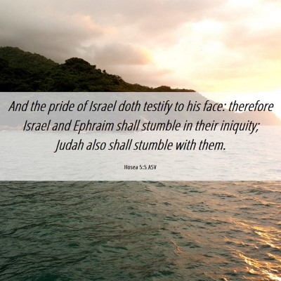 Picture 06 - Hosea 5:5 ASV - And the pride of Israel doth testify to his face: - Bible Verse Picture