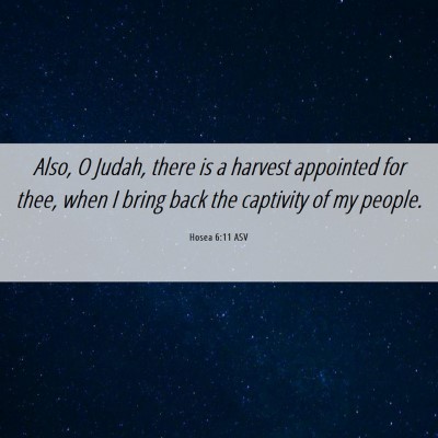 Picture 06 - Hosea 6:11 ASV - Also, O Judah, there is a harvest appointed for - Bible Verse Picture