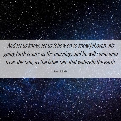 Picture 06 - Hosea 6:3 ASV - And let us know, let us follow on to know - Bible Verse Picture