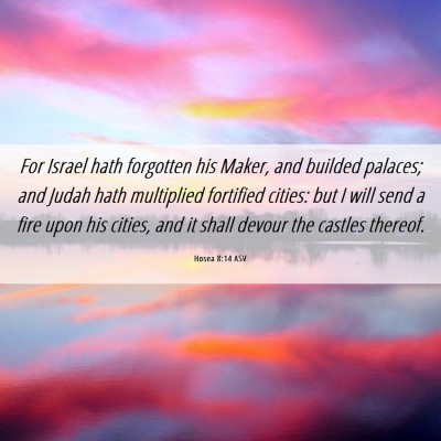 Picture 06 - Hosea 8:14 ASV - For Israel hath forgotten his Maker, and builded - Bible Verse Picture