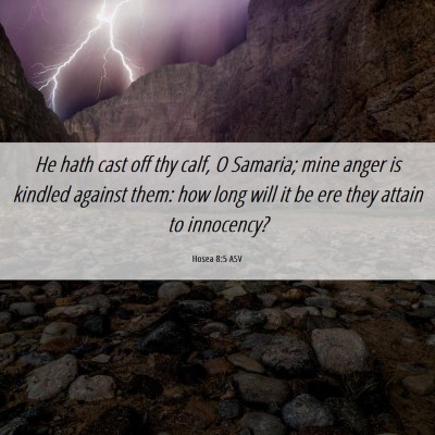 Picture 06 - Hosea 8:5 ASV - He hath cast off thy calf, O Samaria; mine anger - Bible Verse Picture