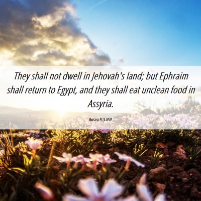 Picture 06 - Hosea 9:3 ASV - They shall not dwell in Jehovah's land; but - Bible Verse Picture