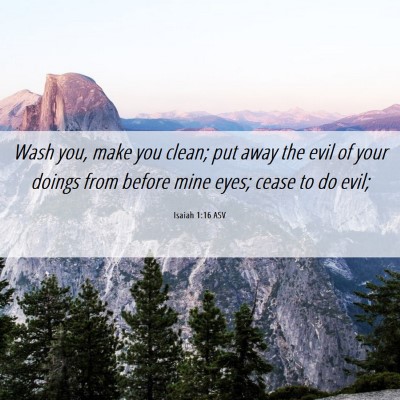 Picture 06 - Isaiah 1:16 ASV - Wash you, make you clean; put away the evil of - Bible Verse Picture