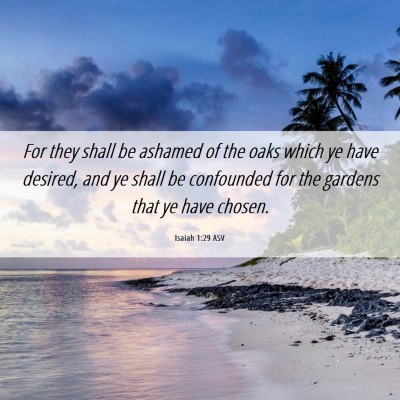 Picture 06 - Isaiah 1:29 ASV - For they shall be ashamed of the oaks which ye - Bible Verse Picture