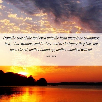 Picture 06 - Isaiah 1:6 ASV - From the sole of the foot even unto the head - Bible Verse Picture