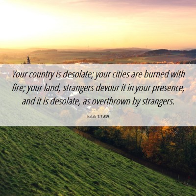 Picture 06 - Isaiah 1:7 ASV - Your country is desolate; your cities are burned - Bible Verse Picture