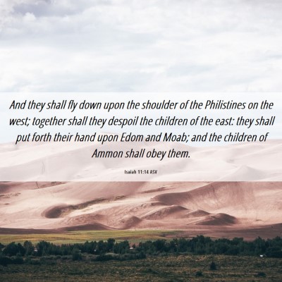 Picture 06 - Isaiah 11:14 ASV - And they shall fly down upon the shoulder of the - Bible Verse Picture