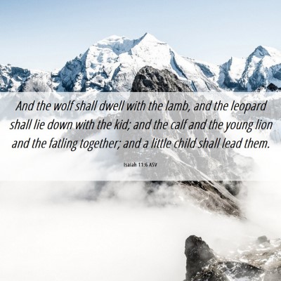 Picture 06 - Isaiah 11:6 ASV - And the wolf shall dwell with the lamb, and the - Bible Verse Picture