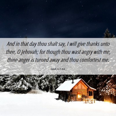 Picture 06 - Isaiah 12:1 ASV - And in that day thou shalt say, I will give - Bible Verse Picture