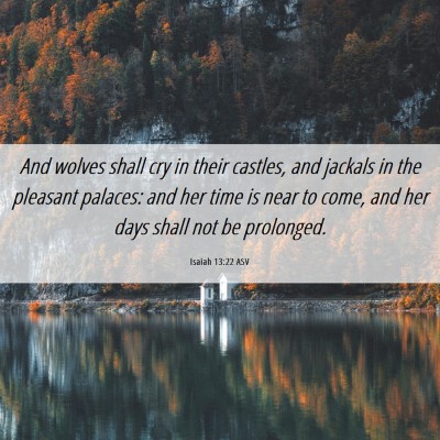 Picture 06 - Isaiah 13:22 ASV - And wolves shall cry in their castles, and - Bible Verse Picture