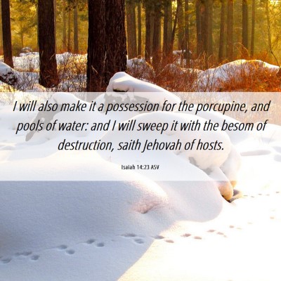 Picture 06 - Isaiah 14:23 ASV - I will also make it a possession for the - Bible Verse Picture