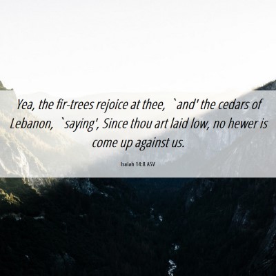 Picture 06 - Isaiah 14:8 ASV - Yea, the fir-trees rejoice at thee, `and' the - Bible Verse Picture