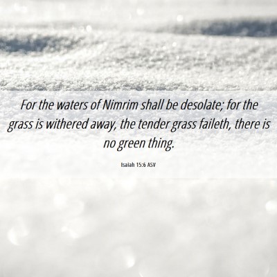 Picture 06 - Isaiah 15:6 ASV - For the waters of Nimrim shall be desolate; for - Bible Verse Picture