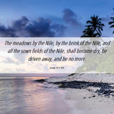 Picture 06 - Isaiah 19:7 ASV - The meadows by the Nile, by the brink of the - Bible Verse Picture