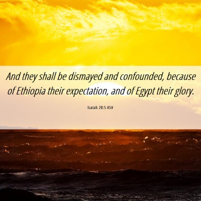 Picture 06 - Isaiah 20:5 ASV - And they shall be dismayed and confounded, - Bible Verse Picture