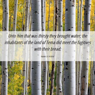 Picture 06 - Isaiah 21:14 ASV - Unto him that was thirsty they brought water; the - Bible Verse Picture