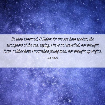 Picture 06 - Isaiah 23:4 ASV - Be thou ashamed, O Sidon; for the sea hath - Bible Verse Picture