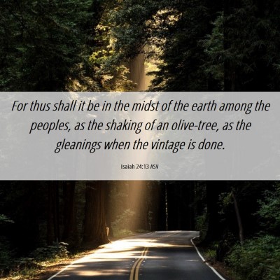 Picture 06 - Isaiah 24:13 ASV - For thus shall it be in the midst of the earth - Bible Verse Picture