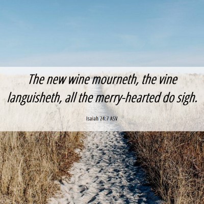 Picture 06 - Isaiah 24:7 ASV - The new wine mourneth, the vine languisheth, all - Bible Verse Picture