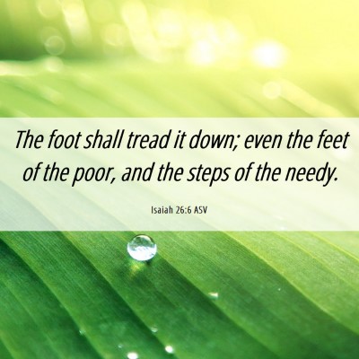 Picture 06 - Isaiah 26:6 ASV - The foot shall tread it down; even the feet of - Bible Verse Picture